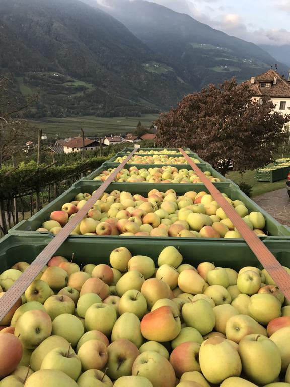 Klostergut Castelbello Exteriör bild